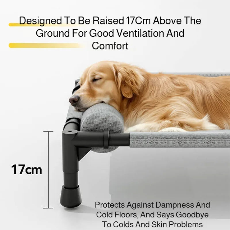 Elevated Pet Bed for Medium & Large Dogs & Cats - Washable Mesh