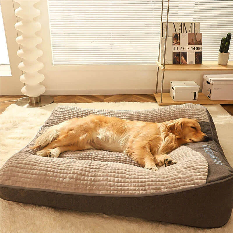 Dog & Cat Essentials